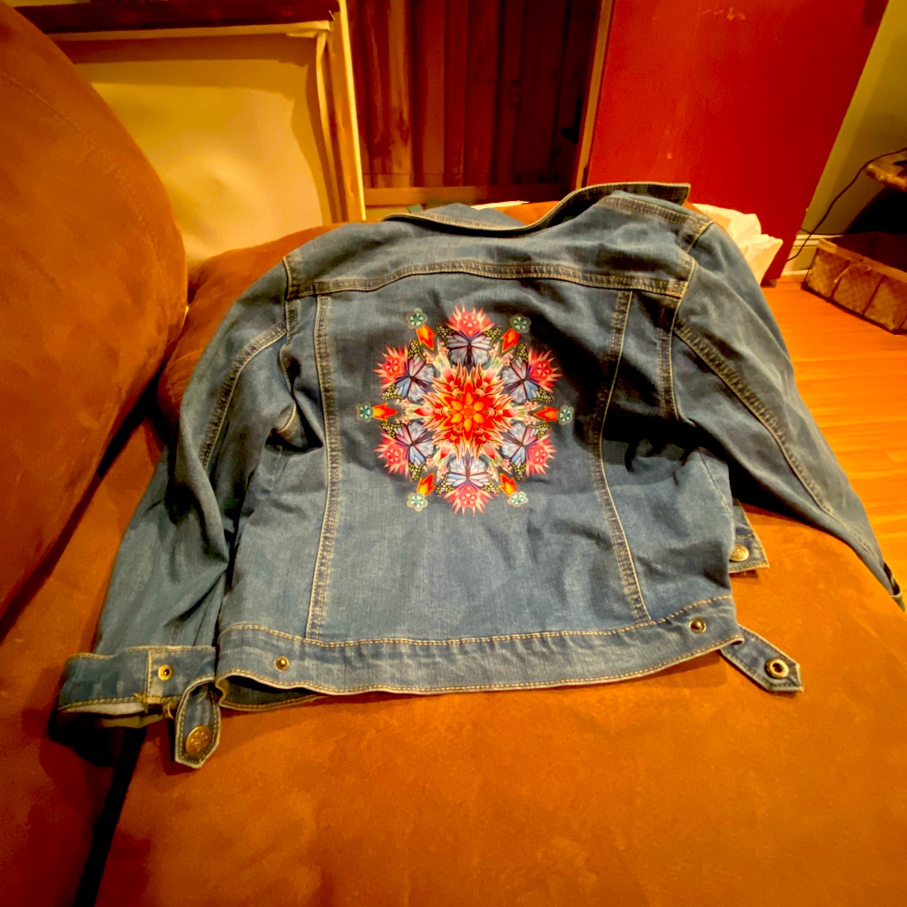 Disney Encanto Jean Jacket Size Large 10-12